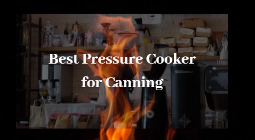 Best Microwave Pressure Cooker Reviews