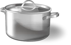best Stainless Steel Pot