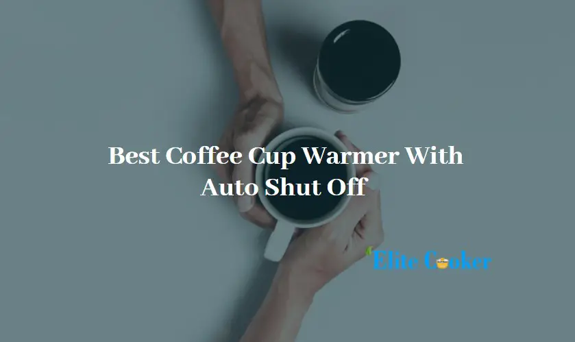 Best Coffee Cup Warmer With Auto Shut Off