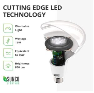 Sunco Lighting Store BR30 Bulb-Best Indoor Flood Light for Cans