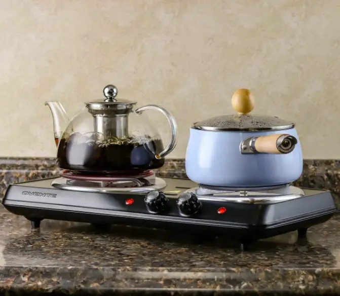 Best Electric Coil Stove for CanningTop Pick of 2022