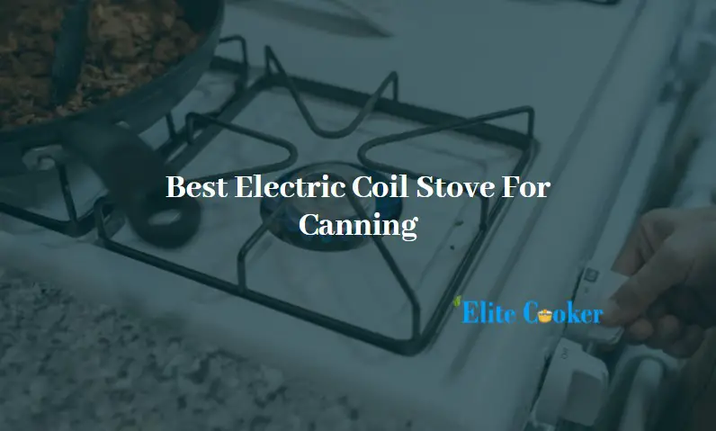 Best Electric Coil Stove For Canning