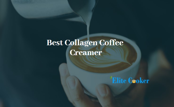 Best Collagen Coffee Creamer-