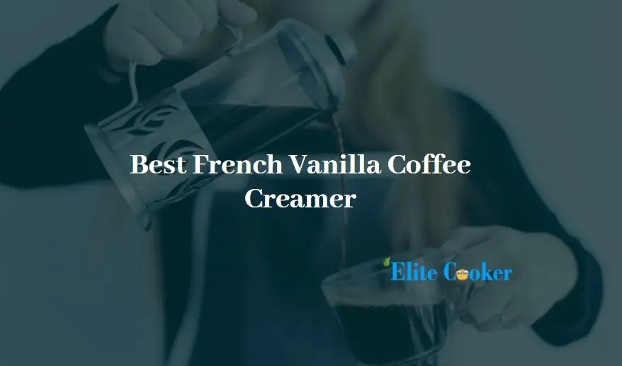 Best French Vanilla Coffee Creamer